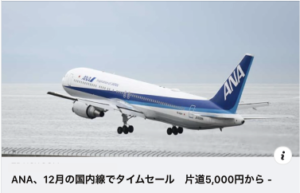 国内格安チケット